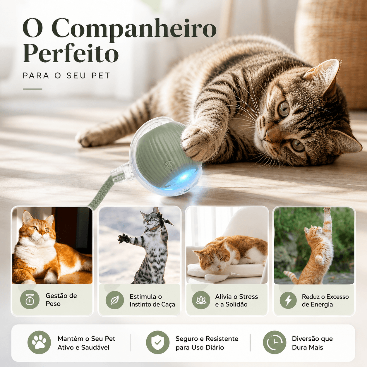 Bola Inteligente Interativa para Gatos