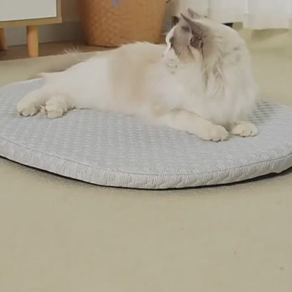 Cama Refrescante Premium para Cães e Gatos