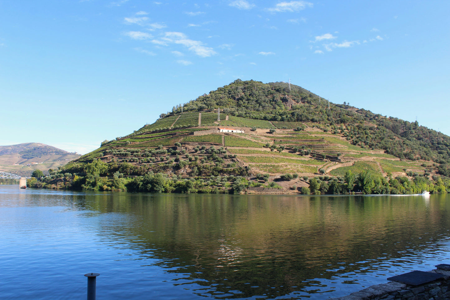 Douro Valley Wine Tour with Lunch Tastings & River Cruise